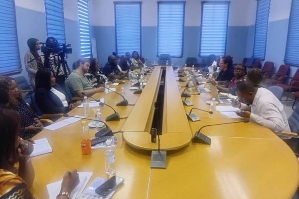 Ministries Update Standing Committee on Youth Interventions