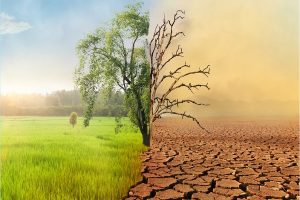 The World Has No Choice But to Deal With Climate Change
