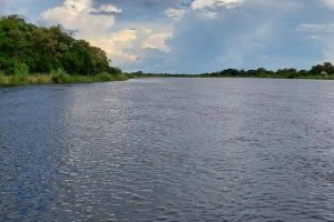 Kavango River, The River That Bites