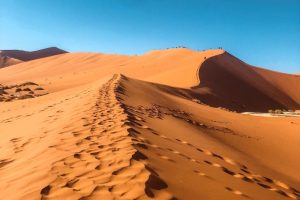 Strong Third Quarter in 2025 for Hospitality Sector