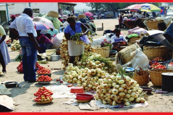 CoW Must Do More for Light Industries – Shiimi