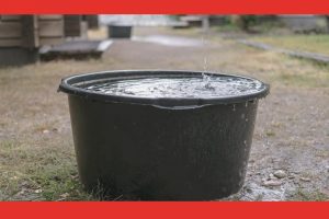 What Must We Do With Rainwater?