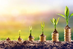 Scaling Micro Enterprises is Crucial for the Namibian Economy