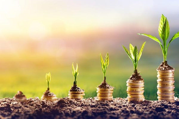 Scaling Micro Enterprises is Crucial for the Namibian Economy