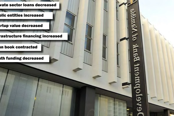 DBN Presents a Gloomy and Mixed 2024/25 Performance