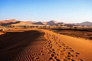 Namibia Has Over 200 Distinct Ecosystem Types