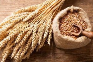 Grain Self-Sufficiency  Decreased Last Year