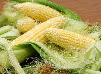 Okongo Farmer Harvests 30,000 Mielies