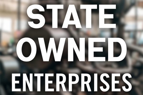 Atshipara Backs Bailout of Strategic SOEs