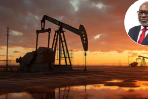 Onboard and Mentor Local Entrepreneurs – Amutse Tells Oil Operators