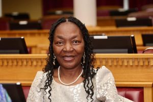 Govt Seeks to Switch N$7,2 Billion on Wednesday