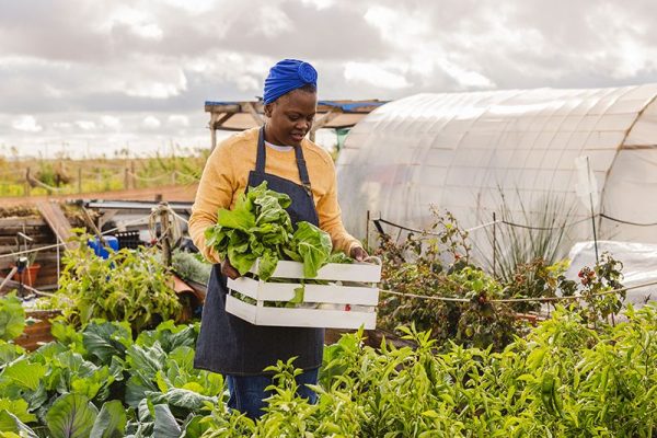 Basecamp, Capricorn Foundation Launch Agripreneurial Innovation Challenge