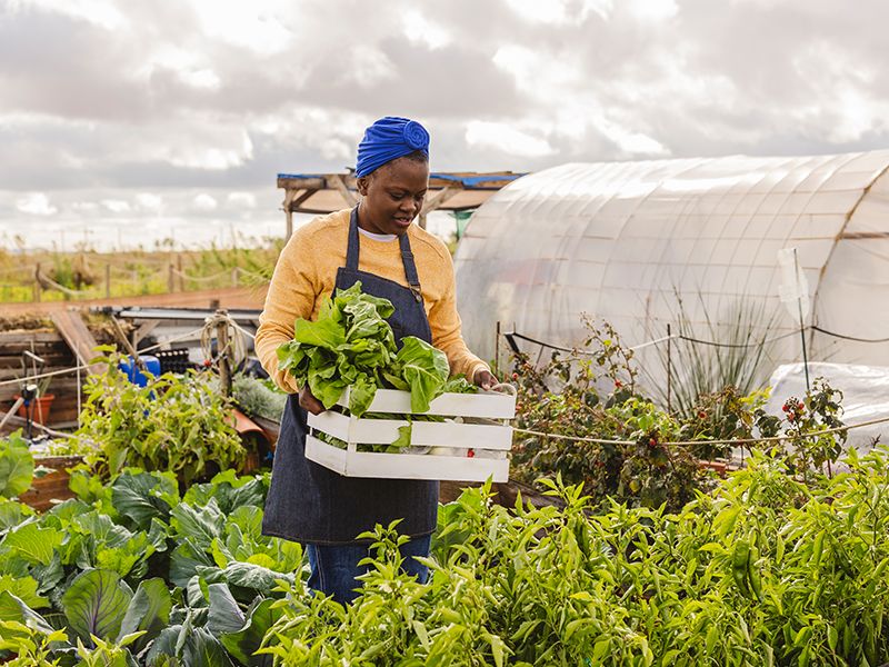 Basecamp, Capricorn Foundation Launch Agripreneurial Innovation Challenge