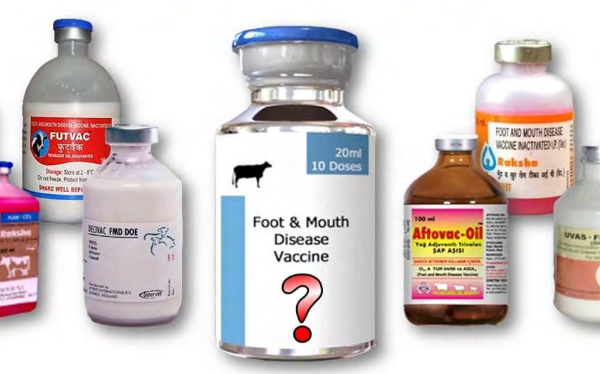 N$60.7 Million Worth of FMD Vaccine Doses Received in Feb