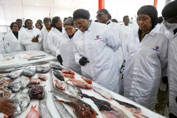 Namibians Should be Proud of Seawork – President 