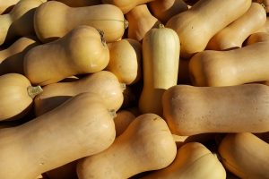 Butternut Beginner Successfully Sells Harvest in One Day