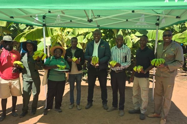 Namibia Eyes Banana Self-Sufficiency