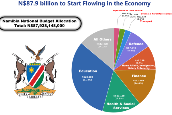 Treasury Given Green Light to Start Spending the N$87.9bn Budget