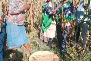 Rural Women Champion Organic Farming for Healthier Harvests