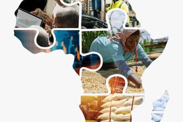 The Intra-African Question: Cross-Border Payments or Monetary Union?