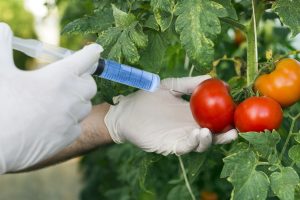 Biosafety Act on GMO Products Under Review