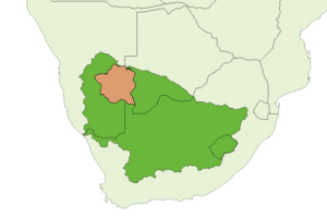 Stampriet Transboundary Water System a Basin of Aquifers