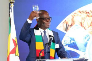 Zimbabwe Takes Seat on UN Security Council, Calls for Global Peace