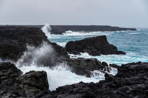 Regulating Climate and Supplying 70% of Earth’s Oxygen: The Mighty Roles of Oceans