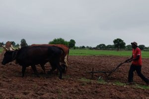 Local Farmers Demand a Piece of Existing Markets