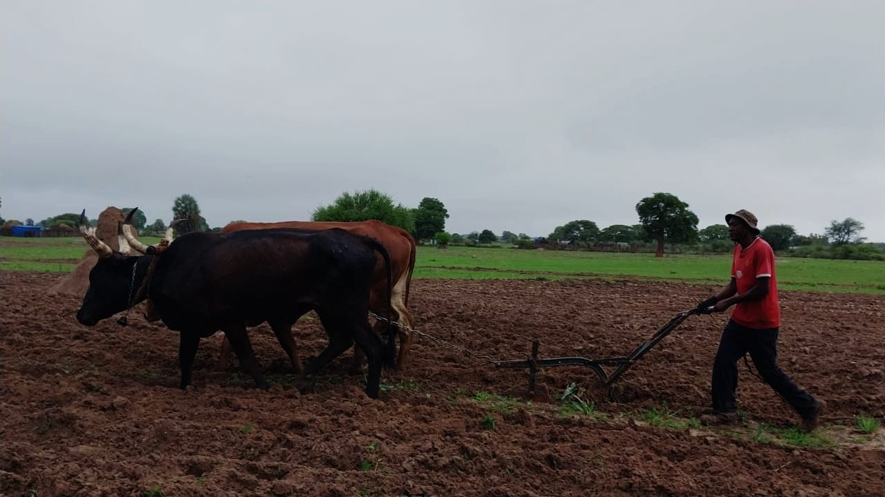 Local Farmers Demand a Piece of Existing Markets