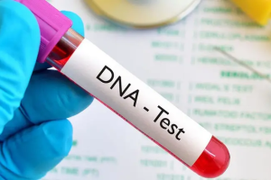 Local Genome Platform to Cuts Cost of Overseas DNA Testing