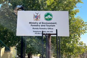 Kavango Regions Seize 3,556 Illegal Planks in Two Years