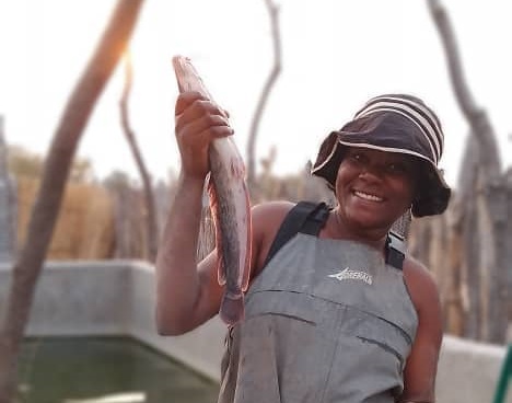 From Accountant to Farmer: Sofia Agricultural Journey