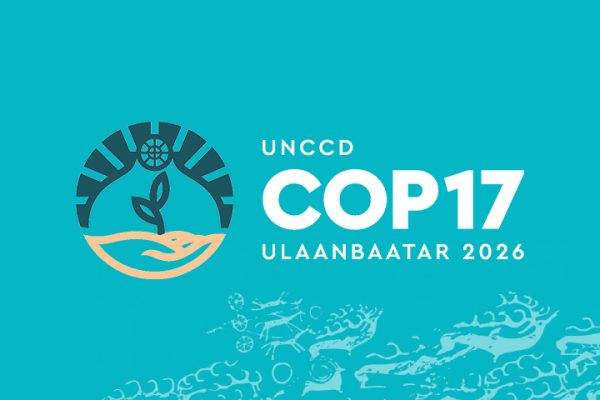 COP17’s Desertification Pledges Reach US$ 1.3 Billion