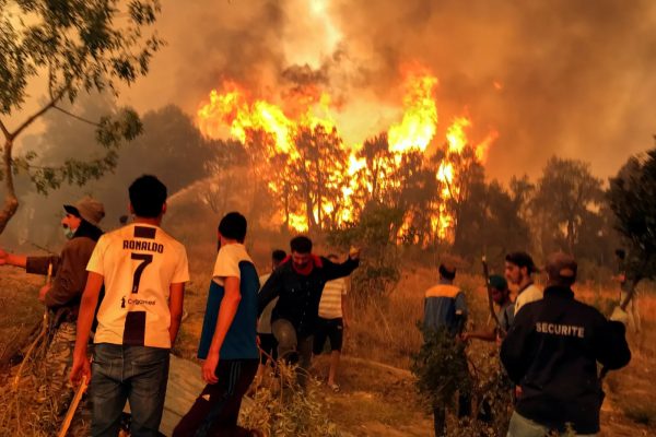 Capital Punishment for Intentional Forest Fires in Algeria