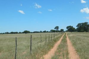Govt Acquired 24 Farms for N$238.7 Million Last Year