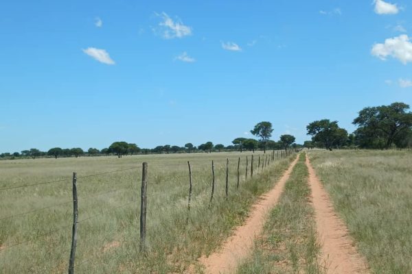 Govt Acquired 24 Farms for N$238.7 Million Last Year
