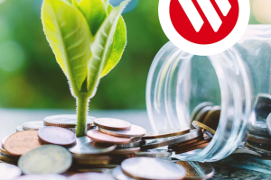 Bank Windhoek Lends Out N$147 Million in Sustainable Finance