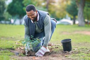 One Million Trees to Be Planted by 2030 & 2 Million by 2035