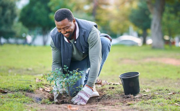 One Million Trees to Be Planted by 2030 & 2 Million by 2035
