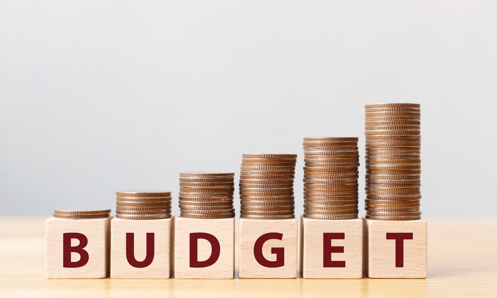 Implementation is a Problematic Phase in the National Budget Process ...